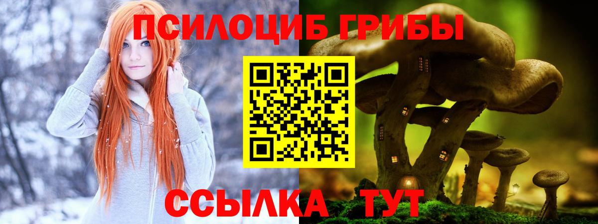 Псилоцибиновые грибы прущие грибы Ачхой-Мартан